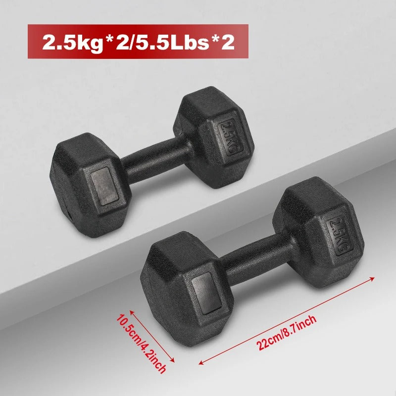Haltères 2.5kg